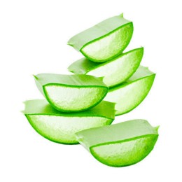Hydrolat Aloe vera BIO