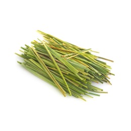 Hydrolat citronnelle BIO