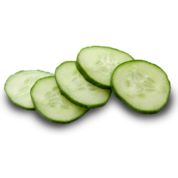 Hydrolat concombre BIO