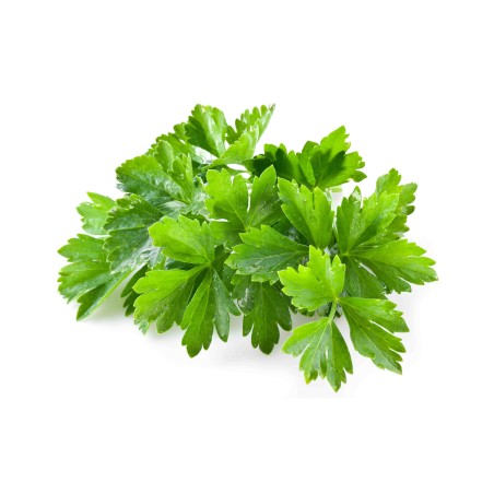 Hydrolat coriandre BIO