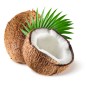 Huile de Coco Vierge