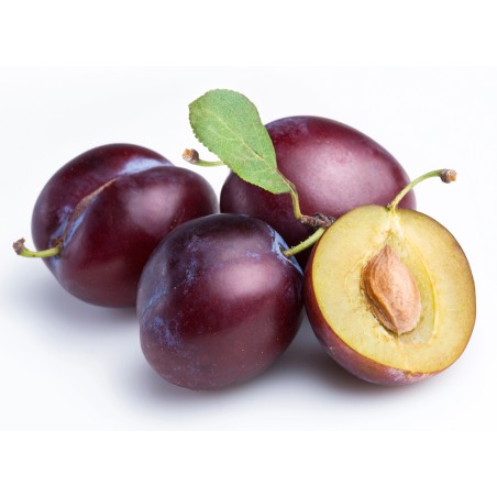 Huile prune de Gascogne