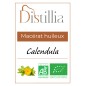 Macérat huileux de Calendula
