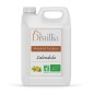 Macérat huileux de Calendula