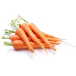 Macérat huileux de Carotte
