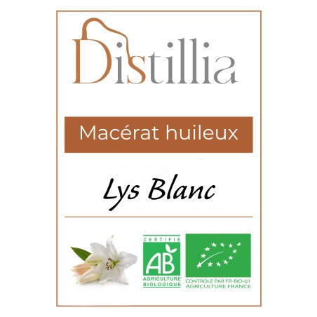 Macérat huileux Lys