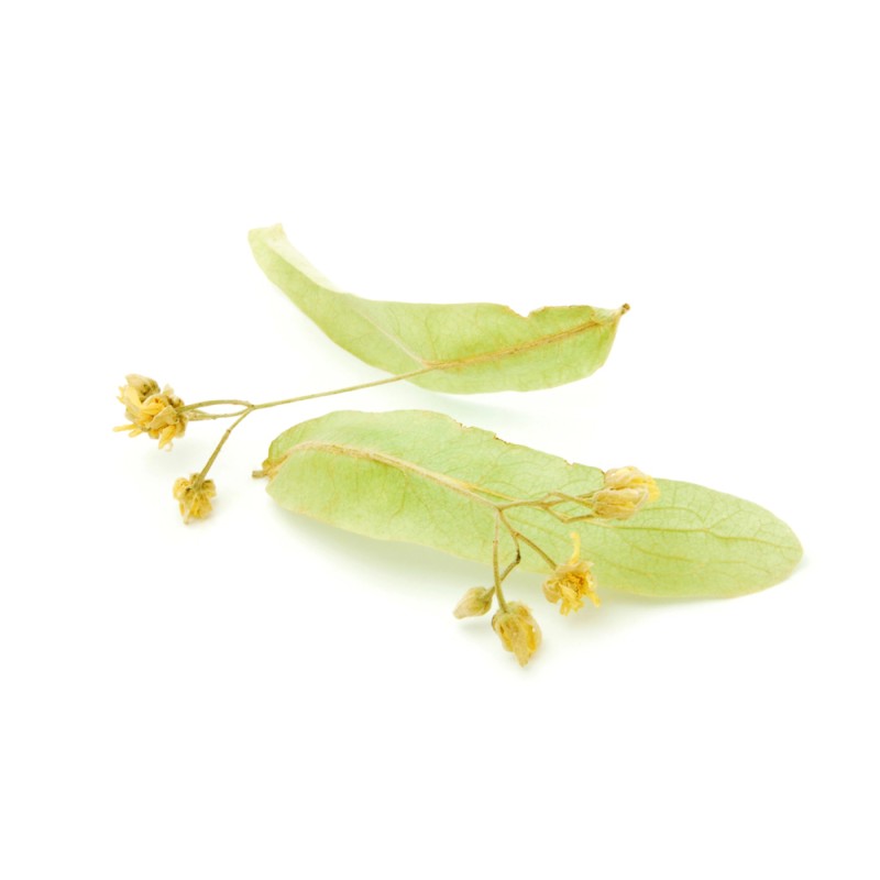 Hydrolat de Tilleul BIO