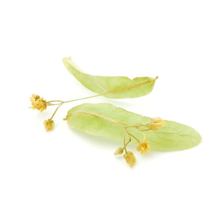 Hydrolat de Tilleul BIO