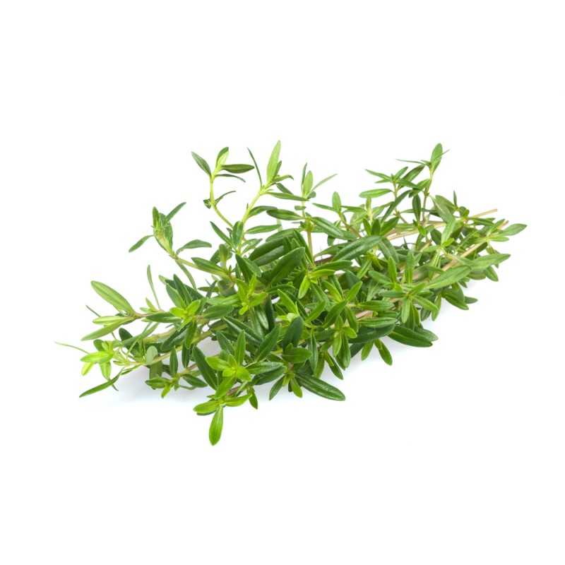 Hydrolat de Sarriette BIO