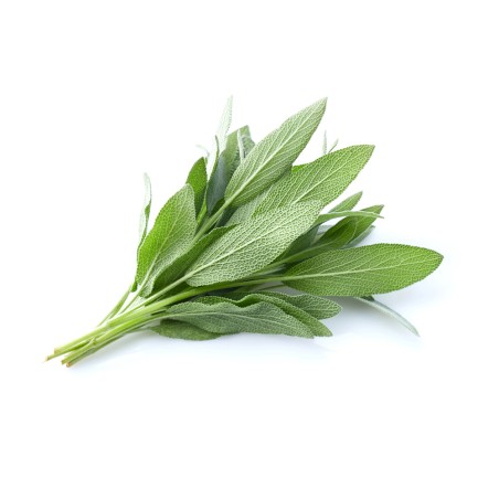 Hydrolat de Sauge Officinale BIO