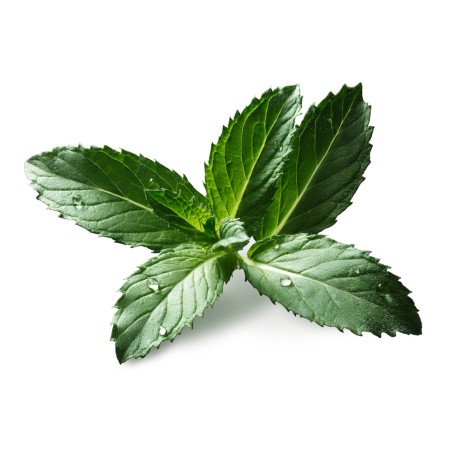 Hydrolat de Menthe Poivrée BIO