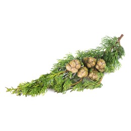 Huile essentielle de cyprès BIO