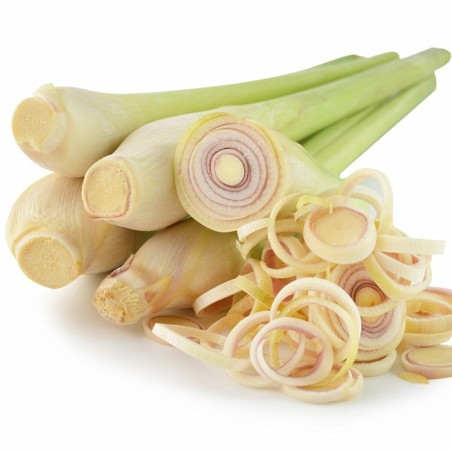 Huile essentielle de citronnelle BIO