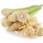 Huile essentielle de citronnelle BIO